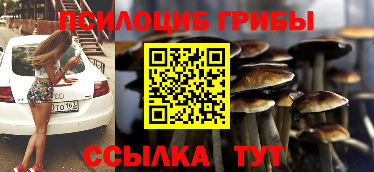 Псилоцибиновые грибы Psilocybine cubensis  Вход с VPN  Нягань  купить   Галлюциногенные грибы Magic Shrooms 